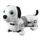 Собака робот «Дэкел Джуниор» - Фото 1