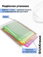 Папка-скоросшиватель А4 140 мкм, ErichKrause Fizzy Neon, микс неон, прозрачный верх, до 130 листов 4833554