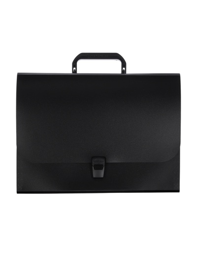 Папка-портфель А4, 12 отделений, 600 мкм, ErichKrause Matt Classic, до 350 листов, чёрная