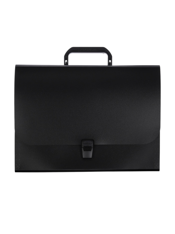 Папка-портфель А4, 12 отделений, 600 мкм, ErichKrause Matt Classic, до 350 листов, чёрная - Фото 1