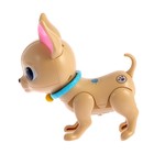 Интерактивная игрушка «Мой питомец», собачка, со световыми и звуковыми эффектами - Фото 4