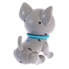 Интерактивная игрушка «Мой питомец», кошечка, со световыми и звуковыми эффектами - фото 3850034
