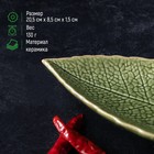 Блюдо керамическое сервировочное «Дендрарий», 20,5×8,5×1,5 см, цвет зелёный - Фото 2