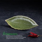 Блюдо керамическое сервировочное «Дендрарий», 20.5×8.5×1.5 см, зелёное - Фото 3