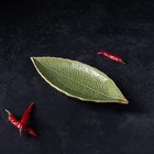 Блюдо керамическое сервировочное «Дендрарий», 20,5×8,5×1,5 см, цвет зелёный - Фото 7