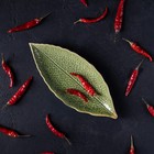 Блюдо керамическое сервировочное «Дендрарий», 20.5×8.5×1.5 см, зелёное - Фото 8