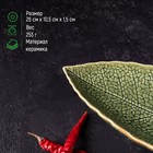 Блюдо керамическое сервировочное «Дендрарий», 26×10,5×1,5 см, цвет зелёный - Фото 2