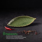 Блюдо керамическое сервировочное «Дендрарий», 26×10.5×1.5 см, цвет зелёный - Фото 3