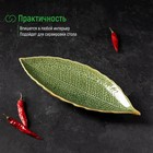 Блюдо керамическое сервировочное «Дендрарий», 26×10.5×1.5 см, цвет зелёный - Фото 4