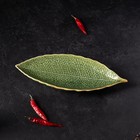 Блюдо керамическое сервировочное «Дендрарий», 26×10,5×1,5 см, цвет зелёный - Фото 7
