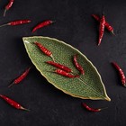 Блюдо керамическое сервировочное «Дендрарий», 26×10.5×1.5 см, цвет зелёный - Фото 8