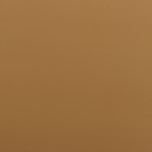 Пленка для цветов «Пленка с золотом», цвет бежевый, 58 см × 5 м - Фото 3