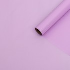 Бумага тишью водоотталкивающая, цвет сиреневый, 58 см х 5 м 19 микрон - Фото 1