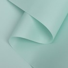 Бумага тишью с ламинацией, цвет тиффани, 58 см х 5 м 75 микрон 4608867