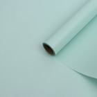 Бумага тишью с ламинацией, цвет тиффани, 58 см х 5 м 75 микрон - фото 8946435