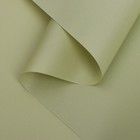Бумага тишью с ламинацией, цвет зеленый бамбук, 58 см х 5 м 75 микрон - Фото 3