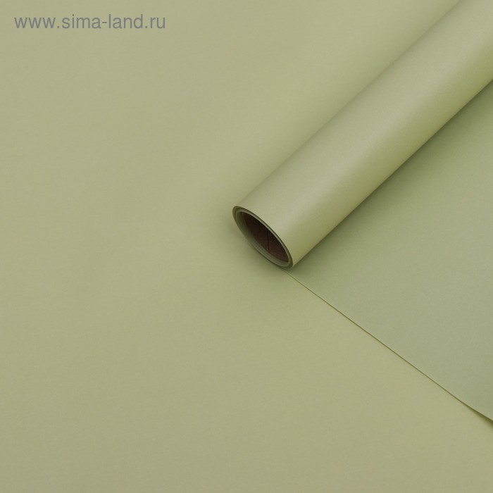 Бумага тишью с ламинацией, цвет зеленый бамбук, 58 см х 5 м 75 микрон - Фото 1