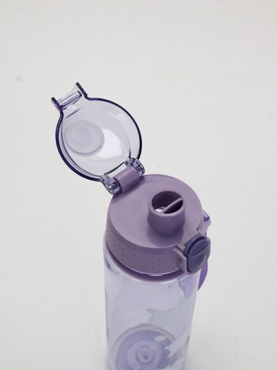 Бутылка для воды пластиковая «Медведи», 600 мл