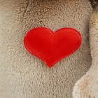 Мягкая игрушка «Ежик Колюнчик: Влюбленное сердце», 20 см - Фото 5