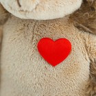Мягкая игрушка «Ежик Колюнчик: Влюбленное сердце», 20 см - Фото 6