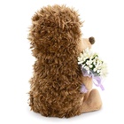 Мягкая игрушка «Ежик Колюнчик: Маленькая радость», 15 см - Фото 4