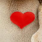 Мягкая игрушка «Ежик Колюнчик: Влюбленное сердце», 15 см - Фото 5