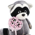 Мягкая игрушка «Енотик Дэйзи: Розовые мечты», 15 см - Фото 4