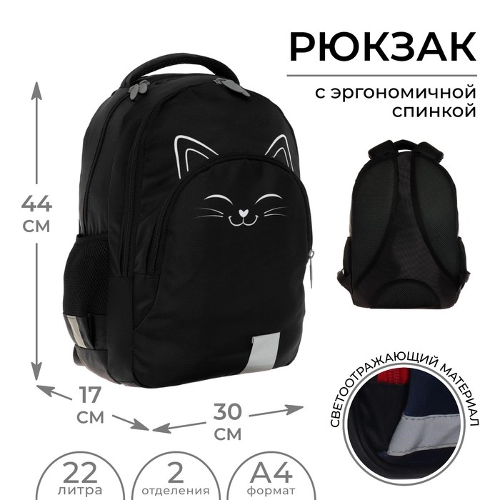 Рюкзак молодёжный, 44 х 30 х 17 см, эргономичная спинка, Calligrata Р "Котик" - Фото 1