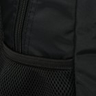 Рюкзак молодёжный, 44 х 30 х 17 см, эргономичная спинка, Calligrata Р "Котик" - Фото 14