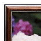 Картина "Щенки у забора" 43х53 см - фото 47608431