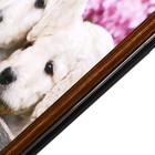 Картина "Щенки у забора" 43х53 см - фото 47608432