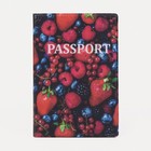 Обложка для паспорта, цвет красный/синий - фото 318291474