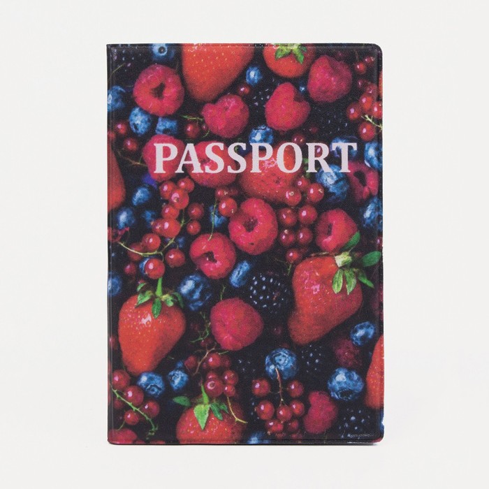 Обложка для паспорта, цвет красный/синий
