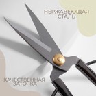 Ножницы для рукоделия, скошенное лезвие, 6", 15 см, цвет тёмно-серебряный - Фото 2