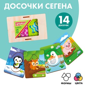 Досочки Сегена «Кто где живёт» 4276076