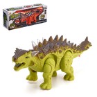 Динозавр «Анкилозавр» работает от батареек, световые и звуковые эффекты, цвет зелёный - фото 10845372