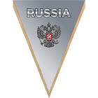 Вымпел треугольный RUSSIA фон серый, 260х200 мм, цветной, Skyway - фото 298301128
