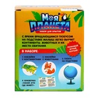 Глобус детский с наклейками «Изучаем животный мир» - Фото 16