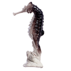 Набор животных «Подводные жители», МИКС - Фото 3