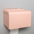 Полка - держатель для туалетной бумаги, 20×13×13 см, в комплекте с креплениями, на клейкой основе, цвет цвет МИКС - Фото 6