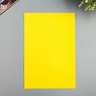 Фоамиран 1 мм, 20х30 см (набор 10 листов) BK033 желтый - фото 8944613