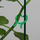 Набор креплений для растений, набор 50 шт., Greengo - Фото 8