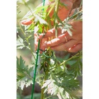 Набор креплений для растений, набор 50 шт., Greengo - Фото 9