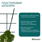 Шпалера, 48×29×0.5 см, пластик, зелёная, Greengo - Фото 4