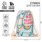 Сумка для обуви «NO PROB-LLAMA», кож.зам голография, 36х26х0,5 см - Фото 1