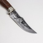 Нож «Мустанг» с мельхиоровыми гардами, рукоять-орех, сталь 65х13 - Фото 5