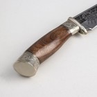 Нож «Жало» с мельхиоровыми гардами, рукоять-орех, сталь 65х13 - Фото 7