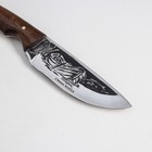 Нож «Терек», рукоять-орех, сталь 65х13 - Фото 4