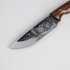 Нож «Терек», рукоять-орех, сталь 65х13 - Фото 5