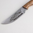 Нож «Охота», рукоять-орех, сталь 65х13 - Фото 5